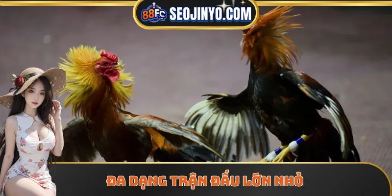 Đa dạng trận đấu lớn nhỏ