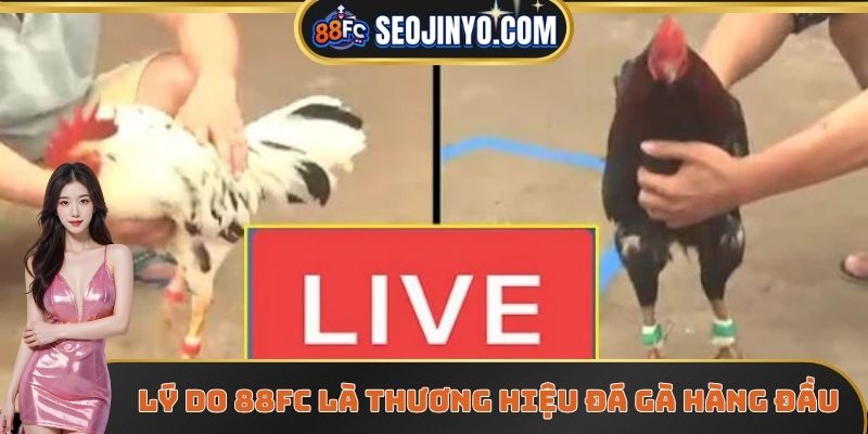 Lý do 88FC được xem là thương hiệu đá gà hàng đầu